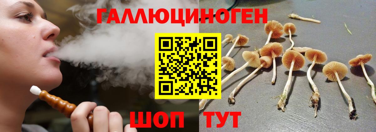 Галлюциногенные грибы прущие грибы  Вход с VPN  Галлюциногенные грибы GOLDEN TEACHER  Бердск 